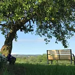 Turístico Brandoñas Brandonas