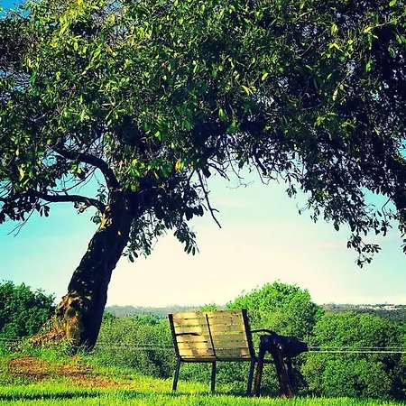 Turistico * Brandonas