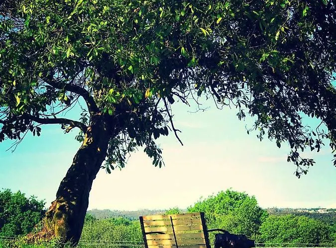 Turistico * Brandonas